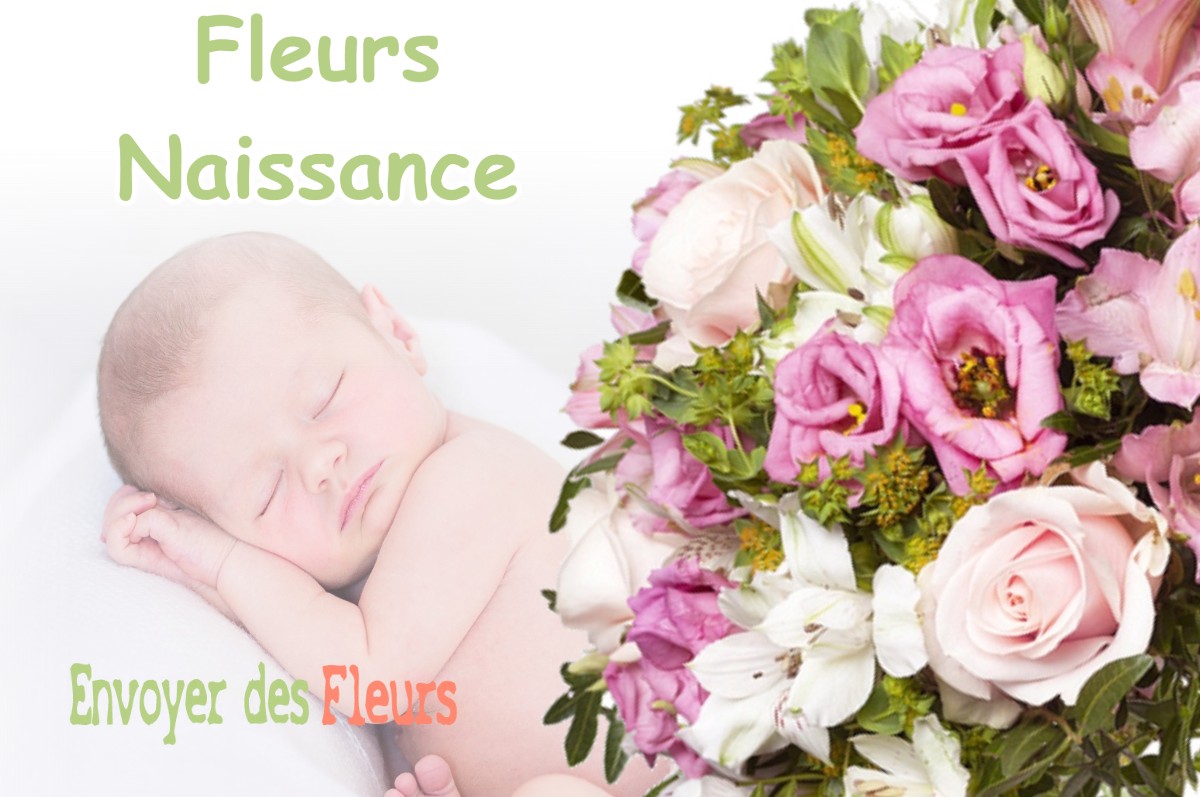 lIVRAISON FLEURS NAISSANCE à LOUBENS-LAURAGAIS